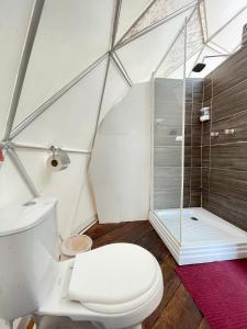 een badkamer met een toilet en een douche bij GLAMPING LA CRISTALINA in Jamundí