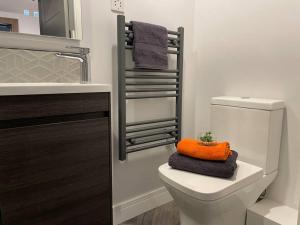 ein Badezimmer mit einem WC und einem orangefarbenen Kissen darauf in der Unterkunft Lovely 1 Bed Studio (3B) near Royal Infirmary and DMU in Leicester