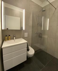 グルンダルフィヨルズルにあるHafnirのバスルーム(トイレ、洗面台、シャワー付)