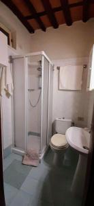 ein Bad mit einer Dusche, einem WC und einem Waschbecken in der Unterkunft Girasole 1 in Lucca