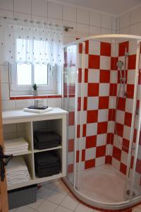 a bathroom with a shower with a red and white checkered wall at Wein & Wohnen MATZL - Ferienwohnung in Fürstenfeld