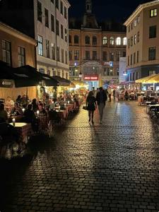 een groep mensen die 's nachts over straat lopen bij Central, Historical, Unique & Modern Apartment CPH in Kopenhagen