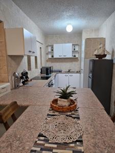 a kitchen with a counter top with a plant on it at Stella Maris 118 in Amanzimtoti