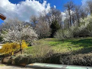 a garden with trees and a hill with white flowers at La casa di Anna in Turin