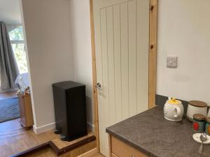 a kitchen with a television next to a door at Honey Bee Cabin in Llandysul