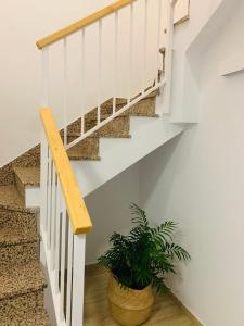 Fotografie z fotogalerie ubytování Apartamento Las Minas v destinaci Baeza
