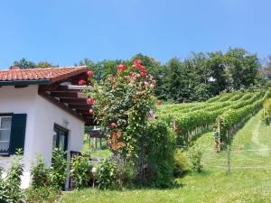 einen Weinberg neben einem Haus mit Rosen in der Unterkunft Wein & Wohnen MATZL - Ferienwohnung in Fürstenfeld