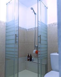 a shower with a glass door in a bathroom at la casita del pueblo PET friendly granada in Acebuches