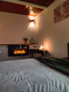 - une chambre avec un lit et une cheminée dans l'établissement la casita del pueblo PET friendly granada, à Acebuches