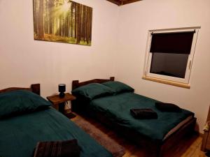 a bedroom with two green beds and a window at Chata na Biłaszu in Bukowiec