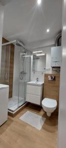 a bathroom with a shower and a toilet and a sink at Apartament Koszutka - 100m od Spodka in Katowice