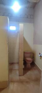 een badkamer met een toilet en een licht op het plafond bij ECOLODGE MISS ROSE CHEZ LA FAMILLE in Boumalne