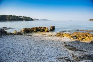 a beach with rocks in the water at Apartments Villa Borik in Rovinj