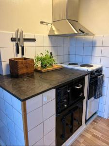Kuchyň nebo kuchyňský kout v ubytování precis intill Ombergs golfbana, nära till Vättern, stora Lund och Hästholmen