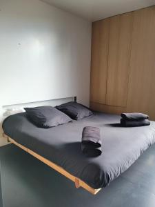 1 cama grande con cabecero de madera en un dormitorio en the black line house, en Olot