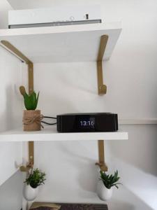 a shelf with a clock and plants on it at Kedge 9 - proche centre, tram & universités in Talence