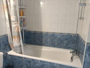 a bathroom with a bath tub with a shower at Kedge 9 - proche centre, tram & universités in Talence