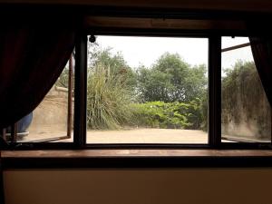 una ventana abierta con vistas a un patio en Holiday at Halliday en Los Ángeles