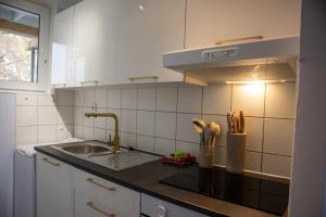 a kitchen with a sink and a counter top at Messenah für 5 Gäste mit kostenlosen Parkplätzen in Hannover
