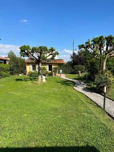 un cortile verde con una casa e un albero di [Piscina Privata] Tiger Home, Toscana a Capannori