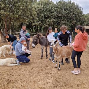 a group of people standing around a group of animals at Chambre in Jouques