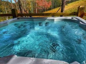 セバービルにあるSmoky Mountains FamiLee Cabin in Wears Valley 2/2の- ジャグジータブ(青い水付)