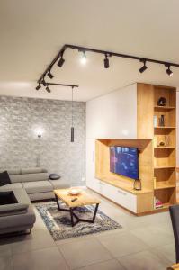 salon z kanapą i telewizorem w obiekcie Domki na wzgórzu w Jamołtówku