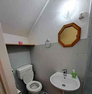 a bathroom with a toilet and a sink and a mirror at Willa Dniestrzanka in Krynica Zdrój