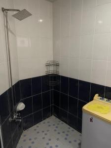 a bathroom with a shower and a toilet at Zirka Apartments Duhok in Duhok
