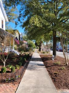 a sidewalk in a neighborhood with houses and trees at The Craft House in Wilmington +54 photos