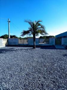 una palmera en medio de un cementerio en Pousada Luzemar flat, en São Francisco do Sul