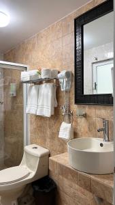 y baño con lavabo, aseo y espejo. en Private Penthouse / Penthouse Privado en Ciudad de México