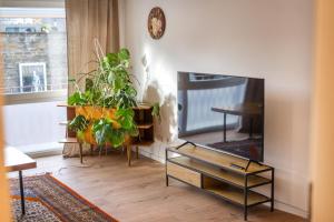 a living room with a tv and a plant at 120qm, cozy Apartment, sehr zentral am HBF, 3SZ in Koblenz