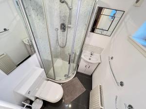 a bathroom with a shower and a toilet and a sink at Lovely Two-bed Apt in Aberdeen