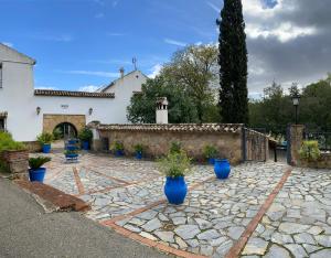 une terrasse en pierre avec des vases bleus. dans l'établissement Apartamentos Turísticos Rurales Dos Fuentes, à Cordoue