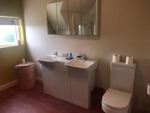 ein Badezimmer mit einem Waschbecken, einem WC und einem Spiegel in der Unterkunft Burton Hall - Pauline in Carlow