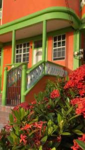 Pointe Michel的住宿－Dangleben’s Apartment，一座绿橙色的房子,前面有鲜花
