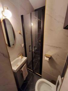 パリにあるStudio du Théâtre Rez de chausséeのバスルーム(シャワー、トイレ、シンク付)