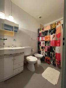 a bathroom with a toilet and a sink and a shower curtain at La casita de sol in Puerto Madryn