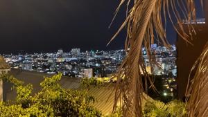 a city skyline at night with a palm tree at Studio Bellepierre, vue mer in Saint-Denis