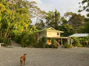 Fotografie z fotogalerie ubytování Colina Secreta - Glamping and Villas v destinaci Puerto Viejo