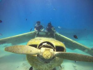Hosté ubytování Tahitian villa avec accès mer privé à 300 m