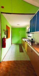 a kitchen with green walls and wooden floors and counters at Cabaña Kaiheke in Hanga Roa