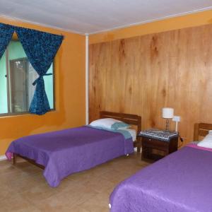 - une chambre avec 2 lits et une fenêtre dans l'établissement Cabaña Kaiheke, à Hanga Roa