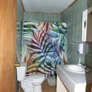 a bathroom with a shower curtain with a toilet and a sink at Cabaña Kaiheke in Hanga Roa