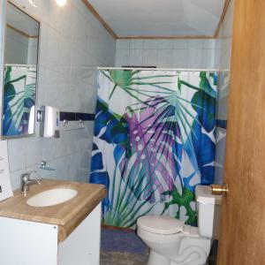 a bathroom with a toilet and a shower curtain at Cabaña Kaiheke in Hanga Roa