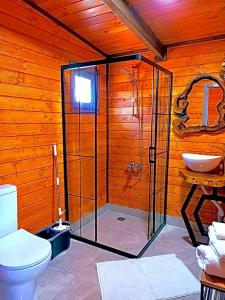 uma casa de banho com um chuveiro, um WC e um lavatório. em Sapancaimrozveposeidon em Sakarya