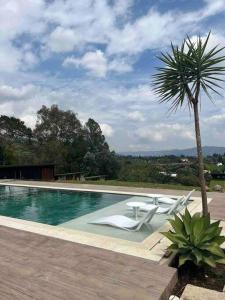 einen Pool mit Stühlen und einer Palme in der Unterkunft Luxurious Guest House on beautiful ranch in Medellín