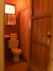 a bathroom with a toilet and a shower at Ecolodge Guancascos, cabaña para 16 personas al pie del PN Celaque in Villa Verde