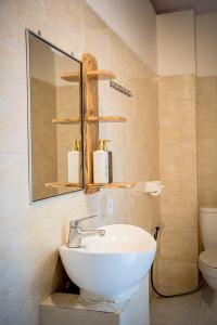 a bathroom with a sink and a mirror and a toilet at Oasis Lembongan in Nusa Lembongan